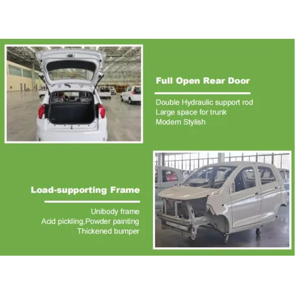 Raysince factory hot sales model 5 door electric car adult vehicle 4 Seats electric vehicles for sale