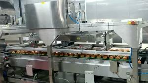 Quality 380V 50HZ Bread Production Line with Endless SUS Modular Mesh Belt Conveyor wholesale
