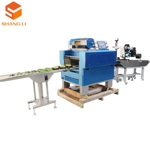 Motor Core Components Labeling Machine for Customized Film Package Weight