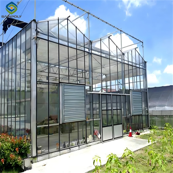 Anti Reflective Automatic Venlo Glass Greenhouse With Agricultural Farming Systems