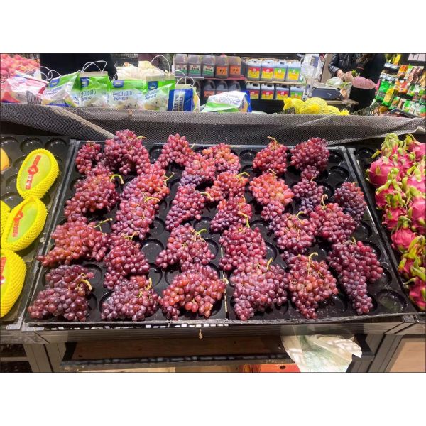 24 40 hole fruit tray plastic black PP PET display apple plastic tray