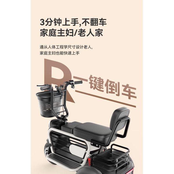 PET TRICYCLE ELECTRIC MINI HOME PICK UP CHILDREN SMALL WOMEN WITH CHILDREN WALK LITHIUM ELECTRIC BATTERY CAR