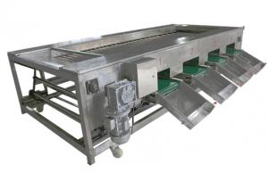 Quality 2000kg/h Food Processing Machinery , Vegetable Fruit Sorting Equipment wholesale