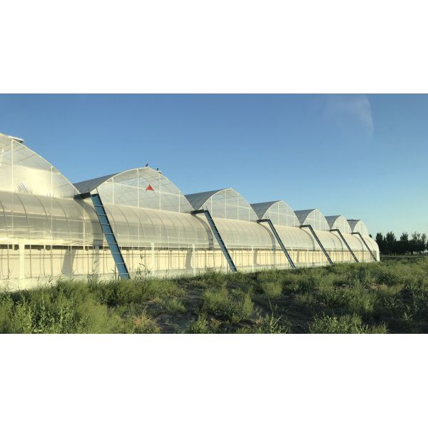Pressure-Resistant Glass House for Large-Scale Growth of Vegetable Fruits and Flowers