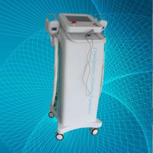 Quality fat loss cooling system Cryolipolysis slimming machine 2 handles used at the same time wholesale