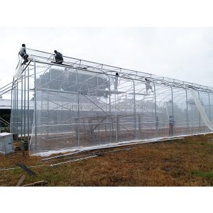 150 Micron Single Span Greenhouse Plastic Film Greenhouse Natural Ventilation