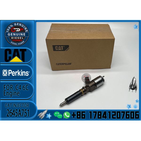 High Quality Professional Densos Gasoline Car Fuel Common Rail Diesel Electric Fuel Injector Assy 2645A751 2645A746 2645