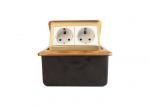 Golden Brass Twins Electrical Socket Pop Up Floor Outlet For Hotel Airport