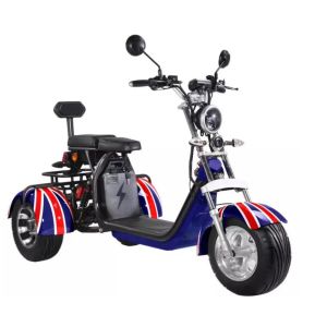 EEC Citycoco Tricycle 3 Wheel Electric Scooter 2000w 1000w 1500w
