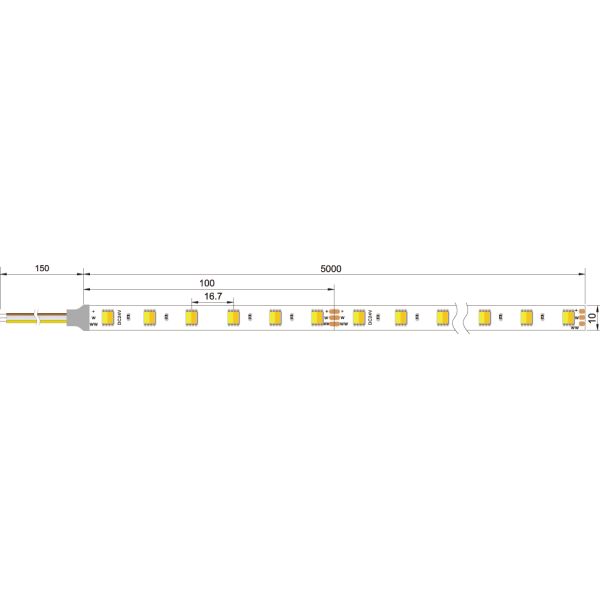 CCT 2in1 5050 2 chips in one 12v 24v led CCT flexible strip WW+W dimmable dual white CCT adjustable led strip lights