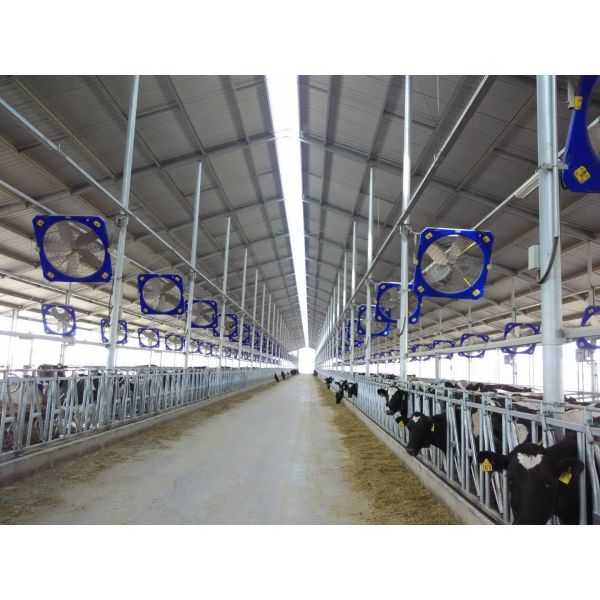 Stainless Steel Industrial Livestock Ventilation Fans 4 Blades Farm Cooling Equipment