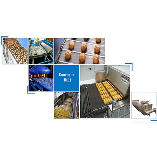 Eye Link Belt for Sterilisation Tunnels