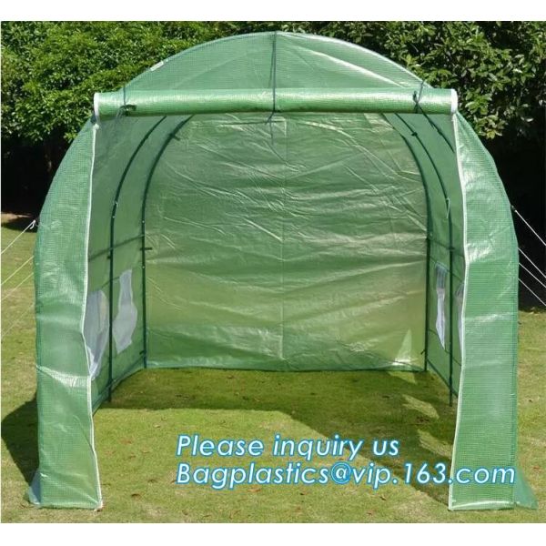 PE protective film customized green house for agriculture anti frost,Venlo Glass Agricultural Green house, SUPPLIES, PAC