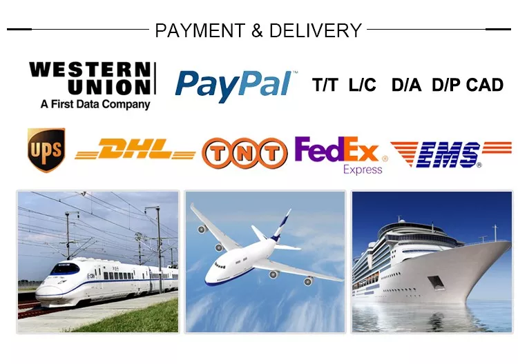 201 301 304 Embossed Stainless Steel Strip Etching Precision Processing Cold Rolled Coil