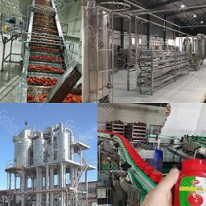 Quality SUS 304 / 316 Tomato Ketchup Sauce Production Line Machinery Mechanized Production wholesale