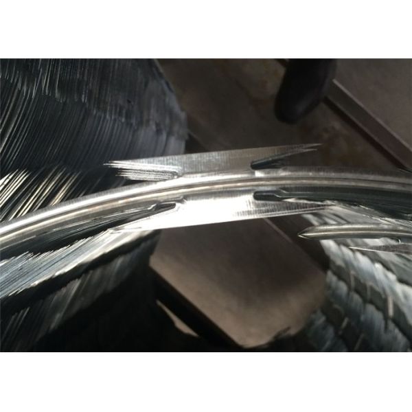 700mm Roll Diameter Razor Barbed Wire Cbt-65 Hot Dipped Galvanized