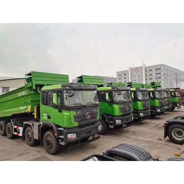Shaanxi Delong X3000 Dump Truck Sx33195d286 Heavy Tractor Truck 6x6 Trailer