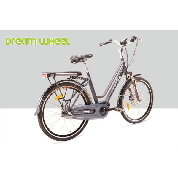 250W 36V Urban City Electric Bike 7.8Ah Samsung Cells