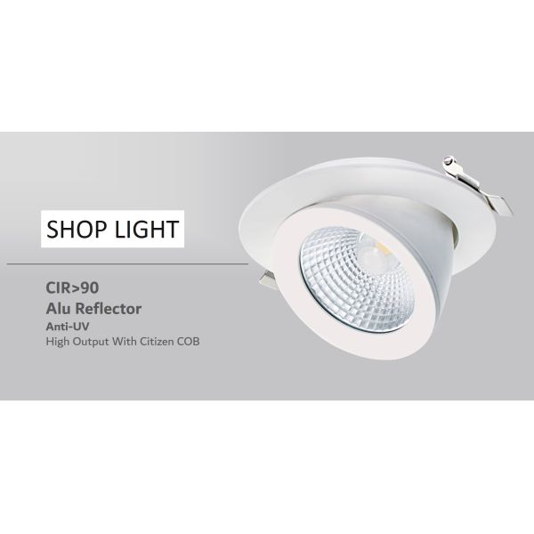 20 Watt Gimbal Adjustable 360 Degree Low Glare Led Recessed Directional Downlights
