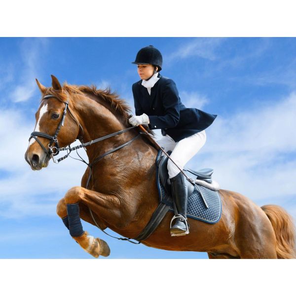 Certified Black 2XL Equestrian Vest in Foam Padded Texture for Outdoor Horse-Riding