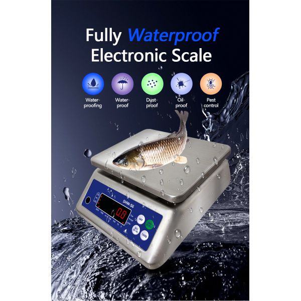 AV220V/50HZ Waterproof Double Screen Electronic Scale 30kg for Customized OBM Support
