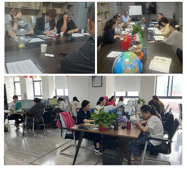 Hong Qi E-Hs9 Pure Electric Vehicle Large SUV Exquisite Craftsmanship