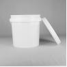 Lid Handle Paint Plastic Bucket FDA Approved 10L for sale