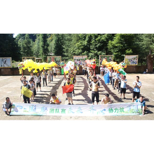 Customize Table Top Tray Sealing Machine Household Vacuum Packaging Equipment