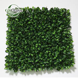Quality high quality artificial grass Green Wall Vertical Garden Artificial Plant Grass Wall 1m*1m wholesale