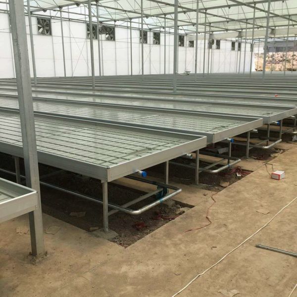 Commercial Seedbed Wire Rolling Greenhouse Benches For Flowers