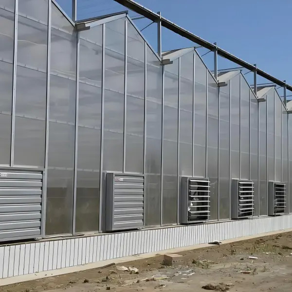 New Products Ultraviolet-Proof Farming Venlo stype greenhouse with hydroponics systems