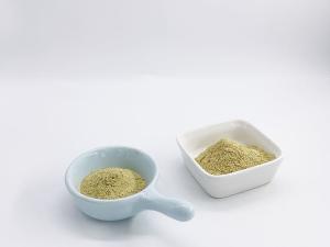 Quality Green Tea Extract 95% Tea Polyphenol wholesale