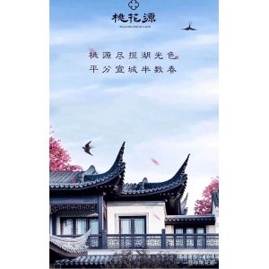 Quality Anodizing Powder Coated China Style Aluminium Alloy Windows wholesale