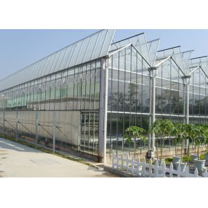 Quality Agricultural Glass Greenhouse For Tomato Lettuce And Strawberry Growing wholesale