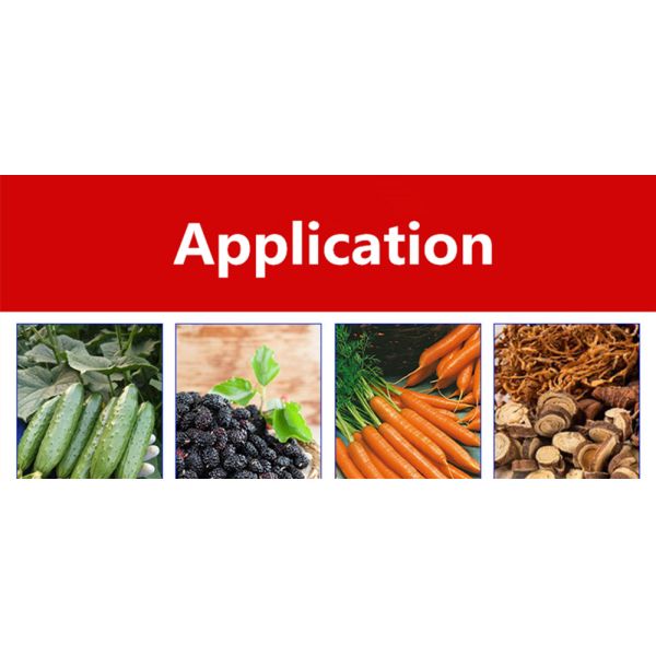 Food Beverage Shops 300L Commercial Hydraulic Stainless Steel Grape Wine Fruit Juice Press Machine