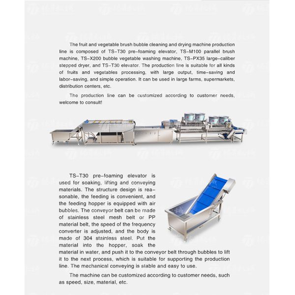 Kiwi Carrot Taro Vegetable Brush Bubble Cleaning Machine 2.5KW