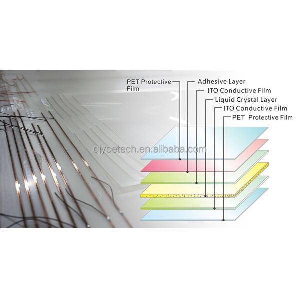 QJY20240301-02 Modern Decorative Smart Film License Plates