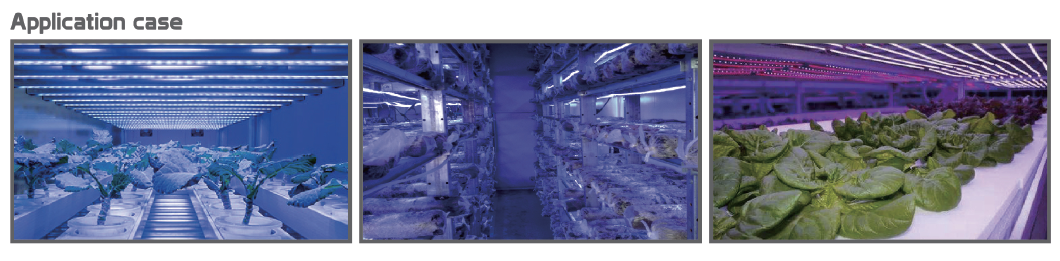 LED Grow Lights Horticulture LED Lights for plant growing LED Let it Grow