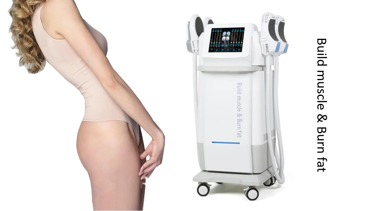 1 - 100Hz EMS RF Machine Stationary EMS Muscle Building Machine 220V