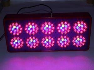 Quality 2016 apollo 10 best led grow light For Indoor Garden wholesale