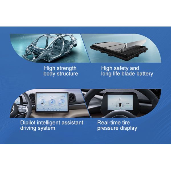 BYD Dolphin 2023 Chinese MINI Electric Car CLTC Pure Electric Cruising Range 420Km