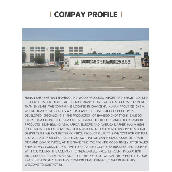 Custom Logo Carbonized Twin Disposable Chopsticks for Camping Occasion in Bulk Supply Chain Management Solutions