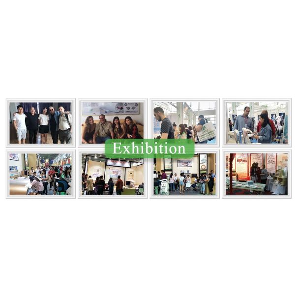 Temperature Setting 3 Zone Infrared Tourmaline Sauna Blanket for Weight Loss and Detox