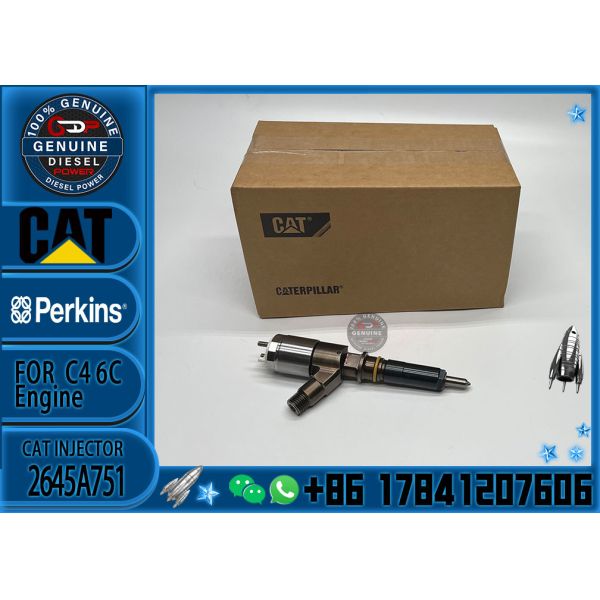 High Quality Professional Densos Gasoline Car Fuel Common Rail Diesel Electric Fuel Injector Assy 2645A751 2645A746 2645