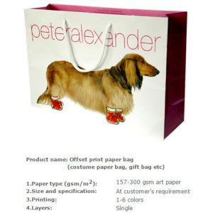 Quality Cooperplate paper bag, Colored printing costume bag, Clothing packing bag, Clothes shopping bag, Christmas gift bag, Car wholesale