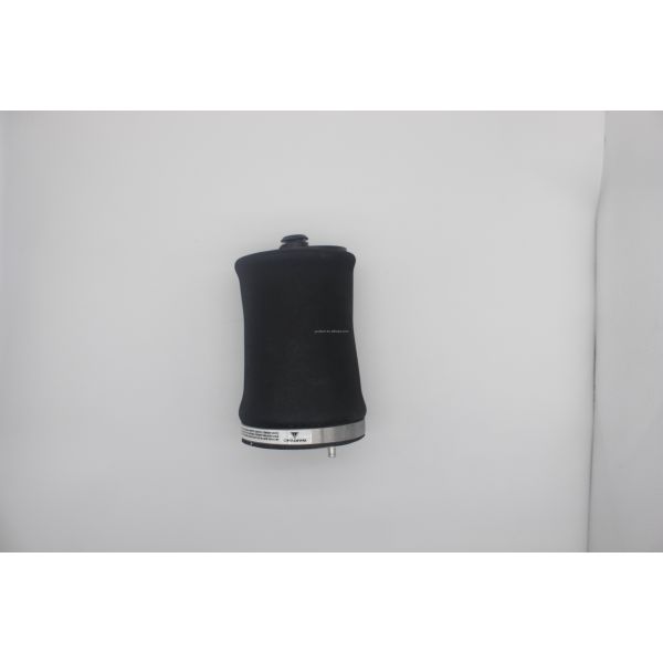 OE Standard Air Suspension Springs for BMW X5 E53 Rear Left 37121095579 37121095580