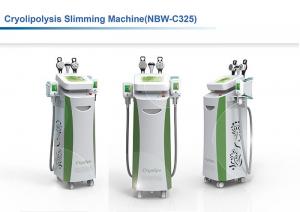 Quality 4 Cryo Handles Fat Freezing Machine / Cryotherapy Weight Loss Machine / Slim Freeze Weight Loss wholesale