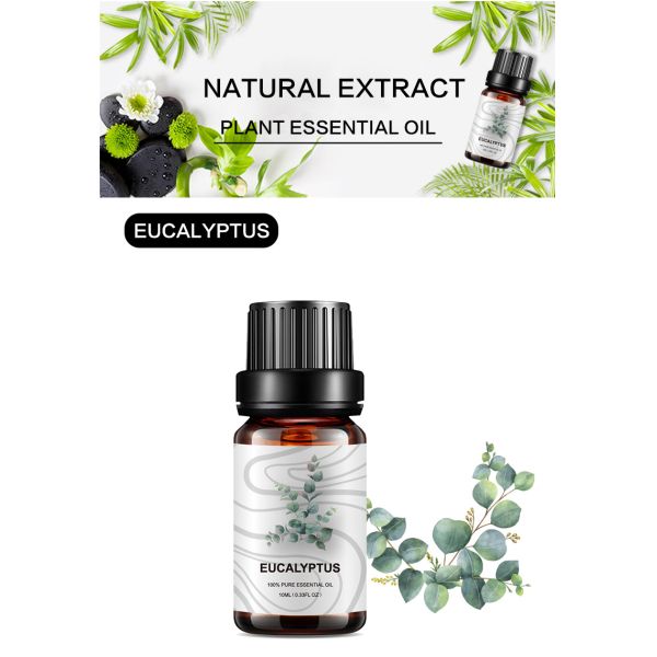5ml Home Fragrance Essential Oils Plant Eucalyptus COA OEM For Medicine
