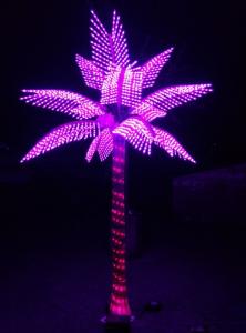 China palm tree christmas light on sale