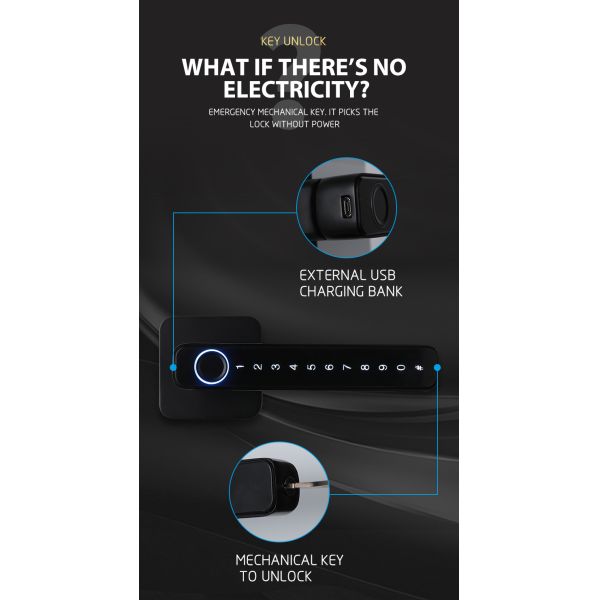 Zinc Alloy Tuya APP Smart Lock Password Keyless Electronic Home Door Lock